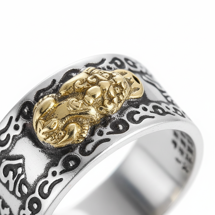 925 Silberring - PixiuRing