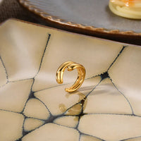 Luxuriöse Ohrringe - TrendDrop