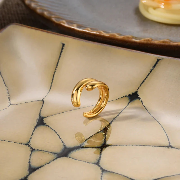 Luxuriöse Ohrringe - TrendDrop