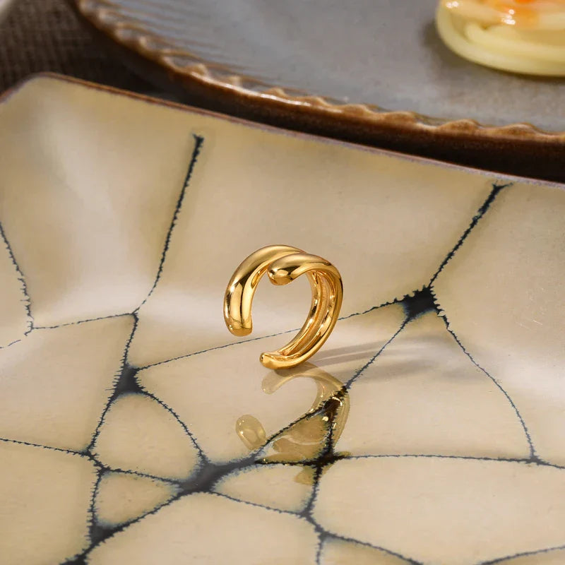 Luxuriöse Ohrringe - TrendDrop