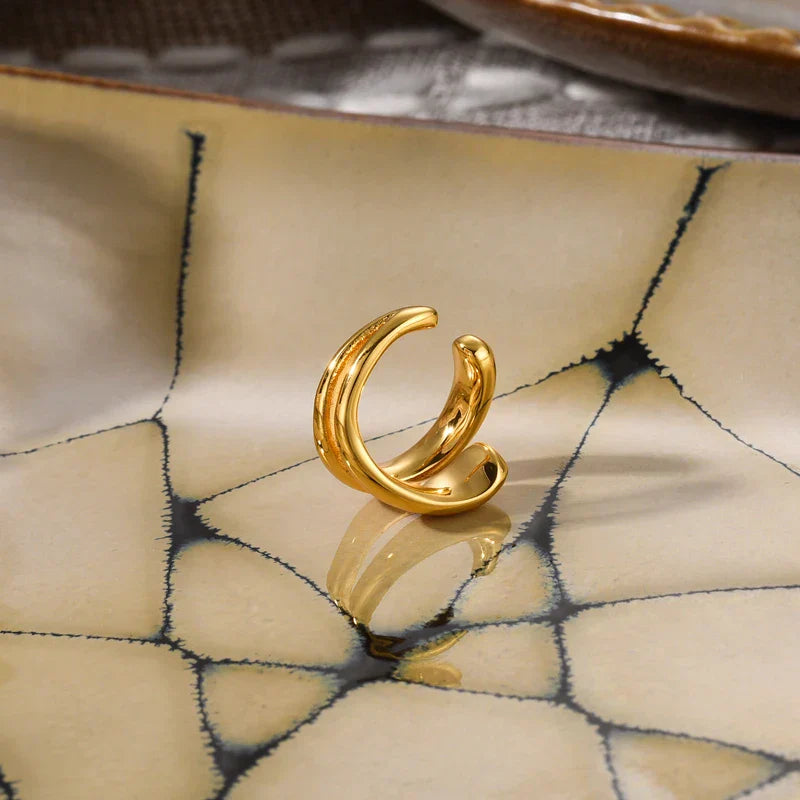 Luxuriöse Ohrringe - TrendDrop