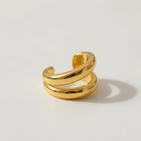 Luxuriöse Ohrringe - TrendDrop