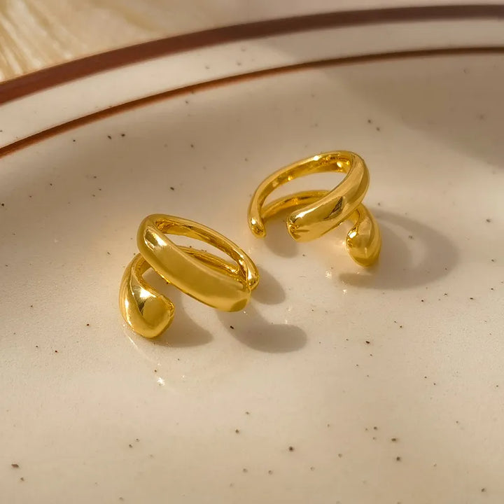 Luxuriöse Ohrringe - TrendDrop