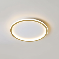 Moderne Deckenleuchte - Roomlight