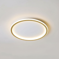 Moderne Deckenleuchte - Roomlight