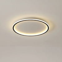 Moderne Deckenleuchte - Roomlight