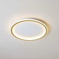 Moderne Deckenleuchte - Roomlight