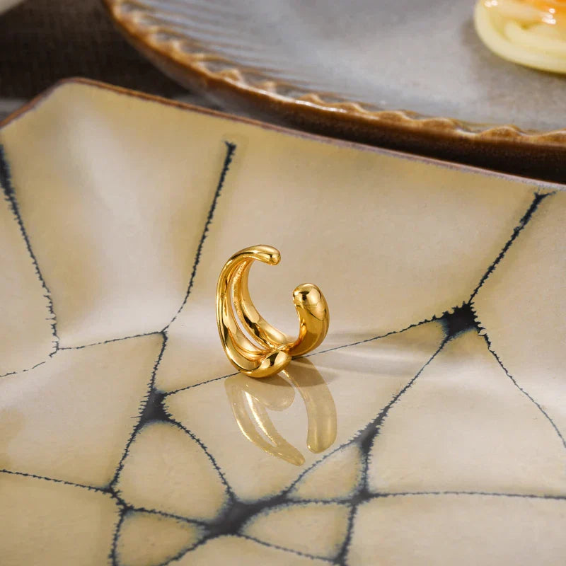 Luxuriöse Ohrringe - TrendDrop 