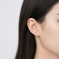 Ohrringe Aus Sterlingsilber - StarSpark 