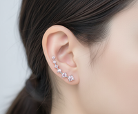 Ohrringe Aus Sterlingsilber - StarSpark 