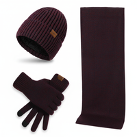 Wollige Mütze Und Handschuhe - ChillGuard